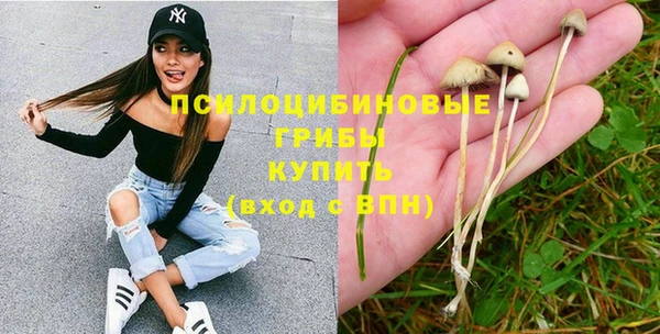 мяу мяу кристалл Арсеньев