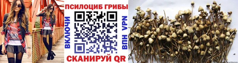 Купить закладки  Геленджик  Псилоцибиновые грибы Magic Shrooms 